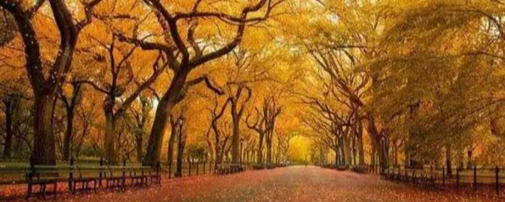 詹姆斯NBA歷(lì)史(shǐ)得(dé)分榜登顶篮球传奇不朽