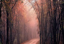 埃(āi)文-莫布利提前(qián)全場(chǎng)投篮，骑士与雄鹿交锋中的搞笑(xiào)一幕