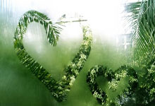 NBA扣篮大赛何时开启？聚焦全明星周(zhōu)末的巅峰盛宴(yàn)