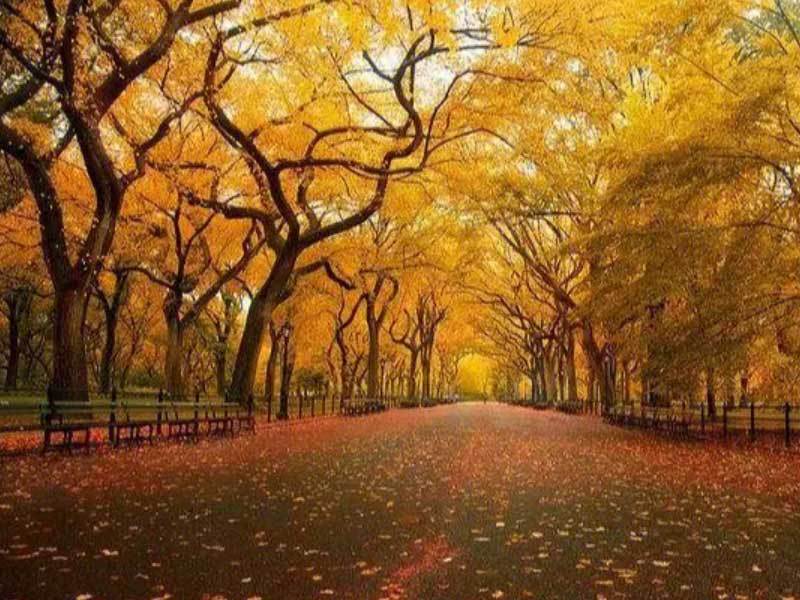 詹姆斯NBA歷(lì)史(shǐ)得(dé)分榜登顶篮球传奇不朽