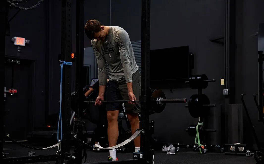 NBA豪(háo)门争夺顶级盖帽大将凯斯勒