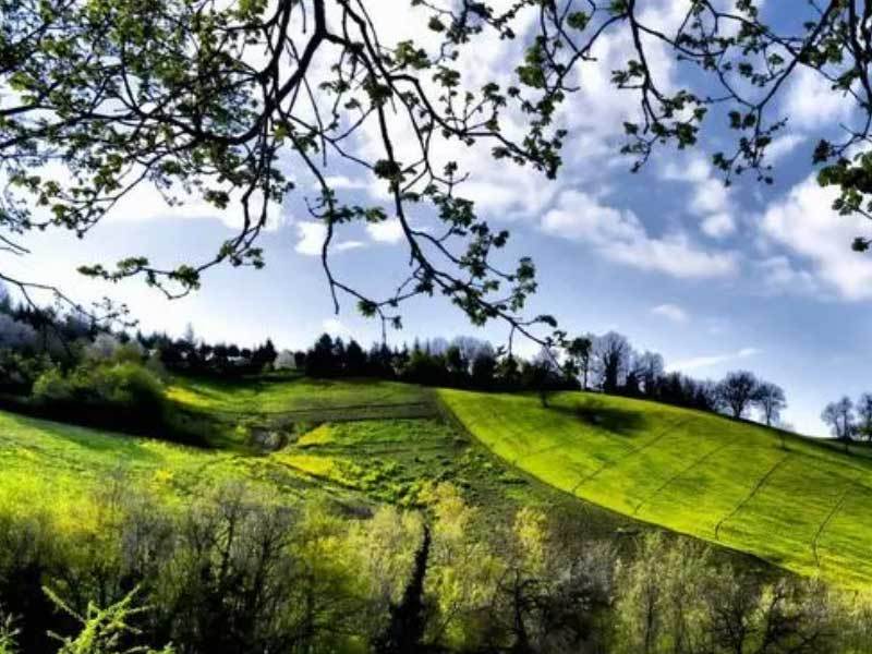 校园籃(lán)球三分大赛举行，选手精准投籃(lán)