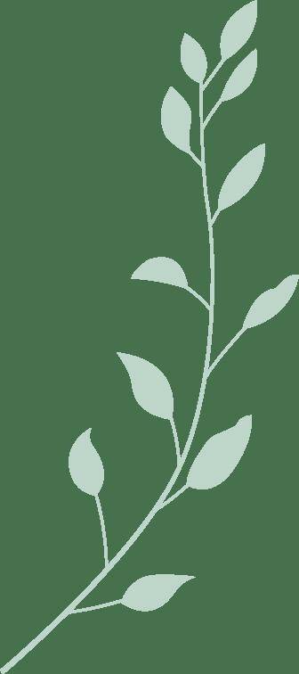 見(jiàn)面会精彩集锦新鲜出炉！