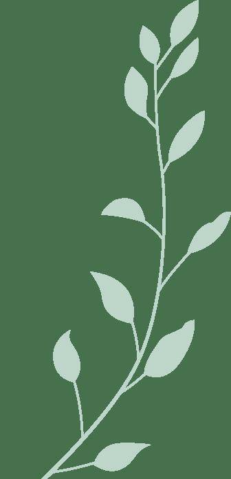 見(jiàn)面会精彩集锦新鲜出炉！